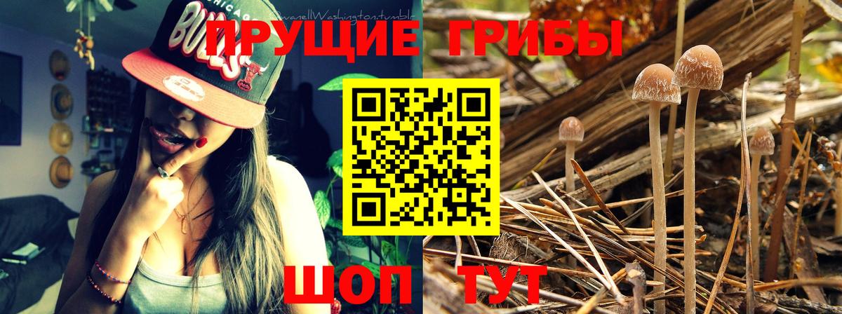 Сызрань  Вход с VPN  Бошки Шишки  МЕФ кристаллы  Экстази  НБОМе  ГАШИШ  Мефедрон  Cocaine 